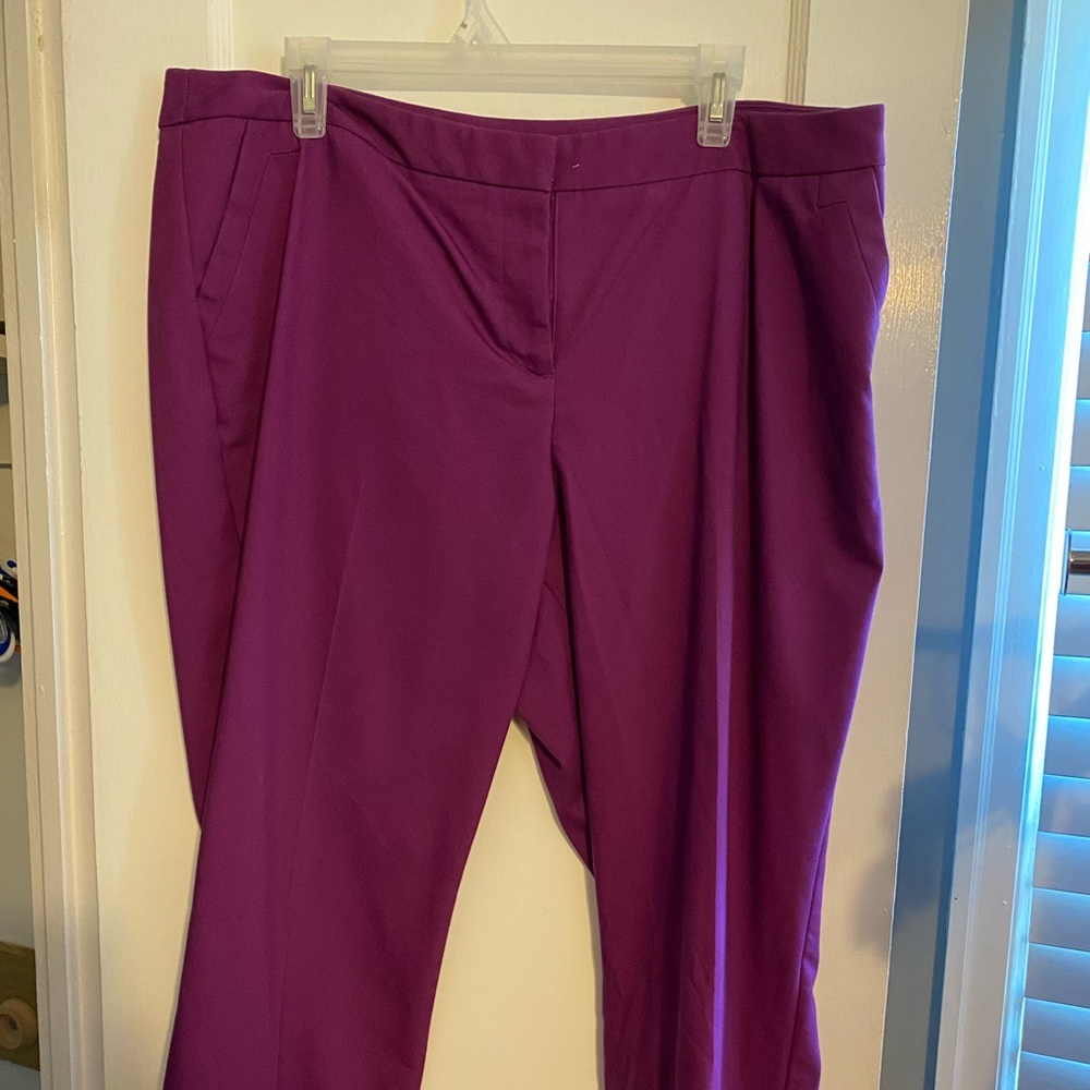 Bright purple capris